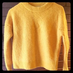 Alpaca Crew Neck Sweater